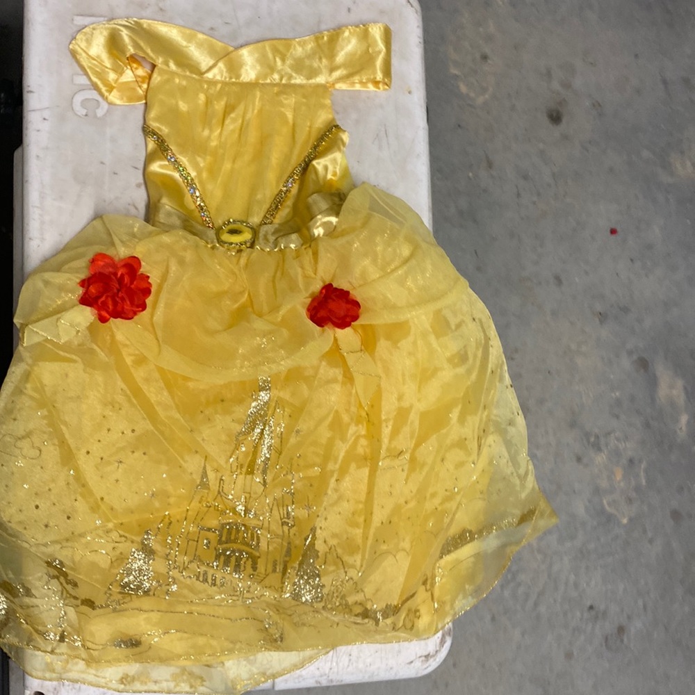 Belle dress